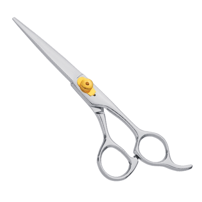 Professional Hair Cutting Scissor