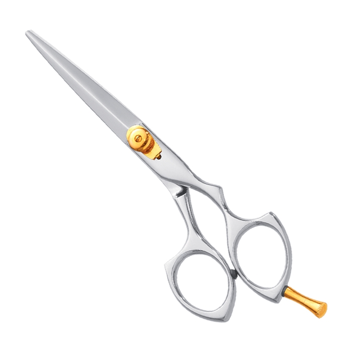Professional Hair Cutting Scissor