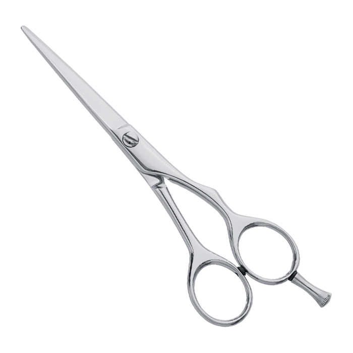 Professional Hair Cutting Scissor