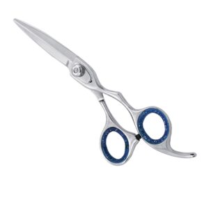 Professional Hair Cutting Scissor
